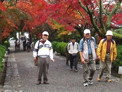 参道を行く