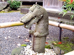 ドラゴン
