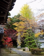 西教寺