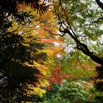 旧竹林院