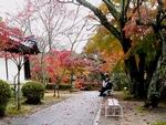 西教寺