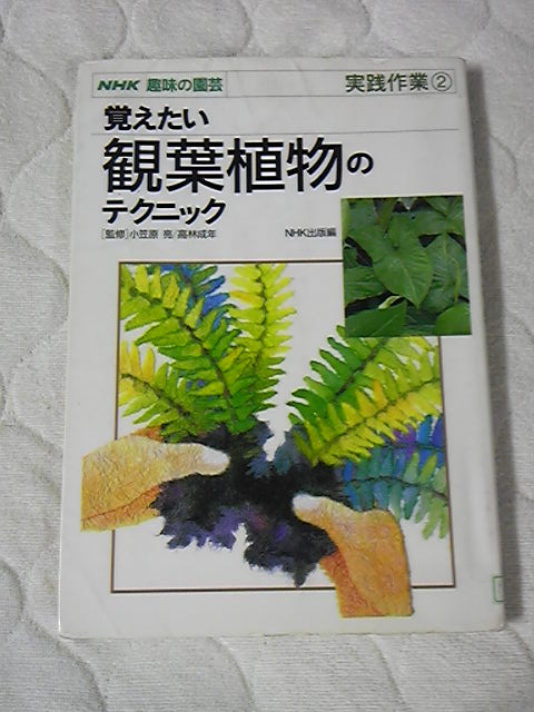 草