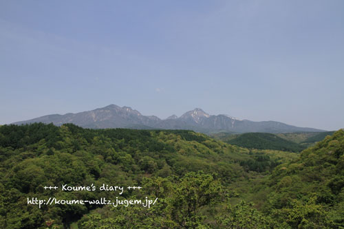 IMG_8728.jpg