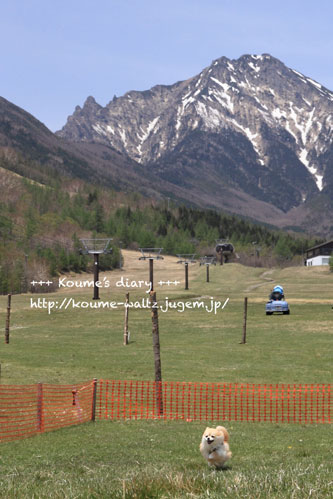 IMG_8813.jpg