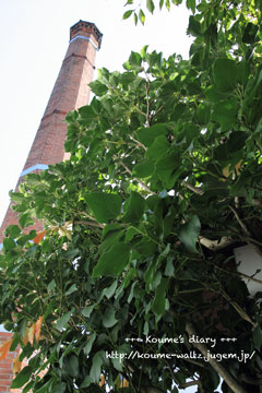 IMG_5104.jpg