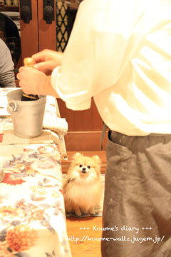 IMG_5471.jpg