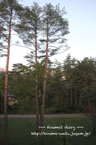 IMG_5522.jpg