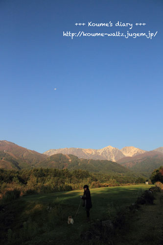 IMG_5523.jpg