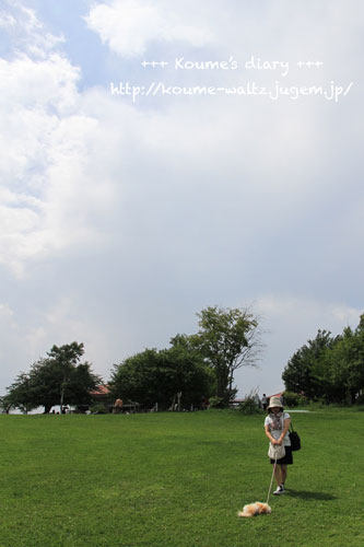 IMG_8574.jpg