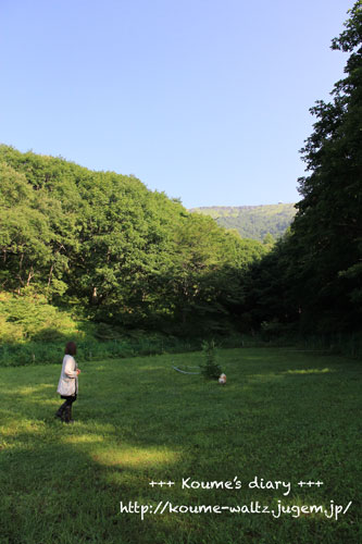 IMG_8796.jpg