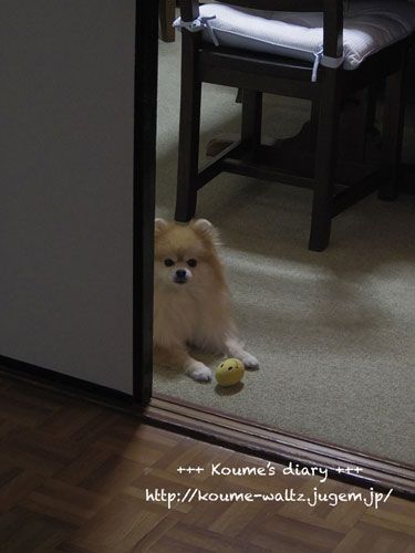 _IGP3696.jpg
