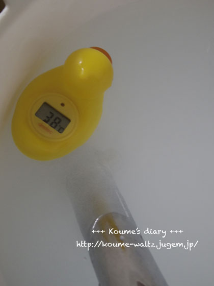 _IGP6895.jpg