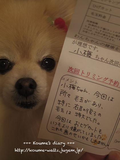 _IGP7150.jpg
