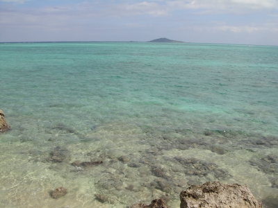 DSC08967.JPG
