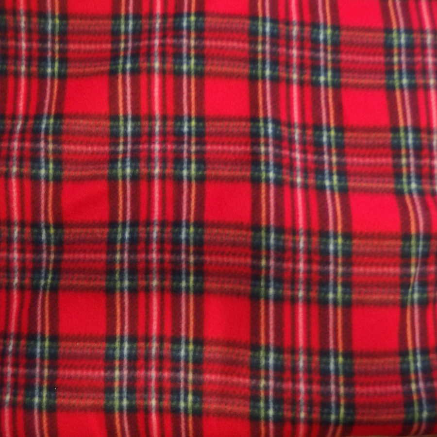 P9200024.JPG