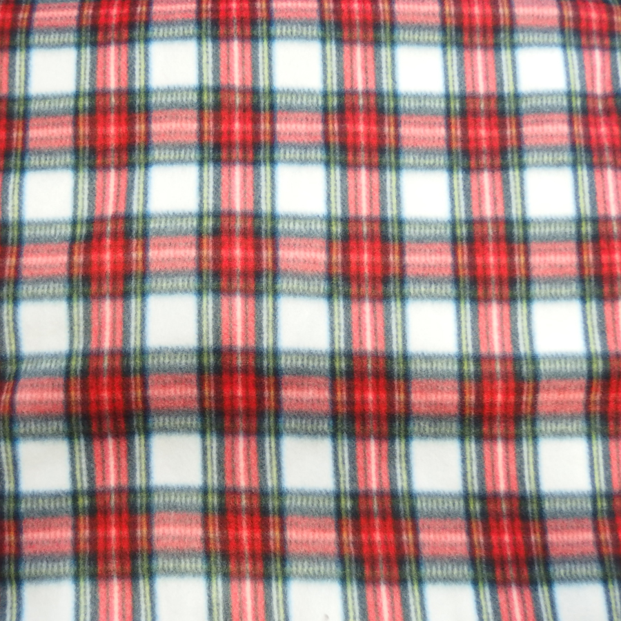 P9200026.JPG