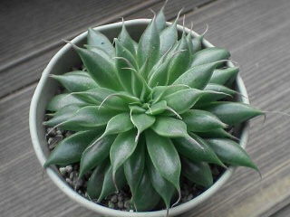 その1