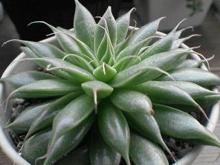 その2
