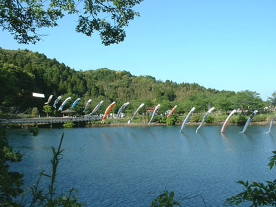小中池公園の鯉のぼり