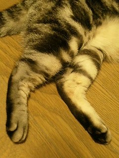 20051013_7886.jpg