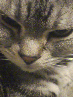 20070225_299577.jpg