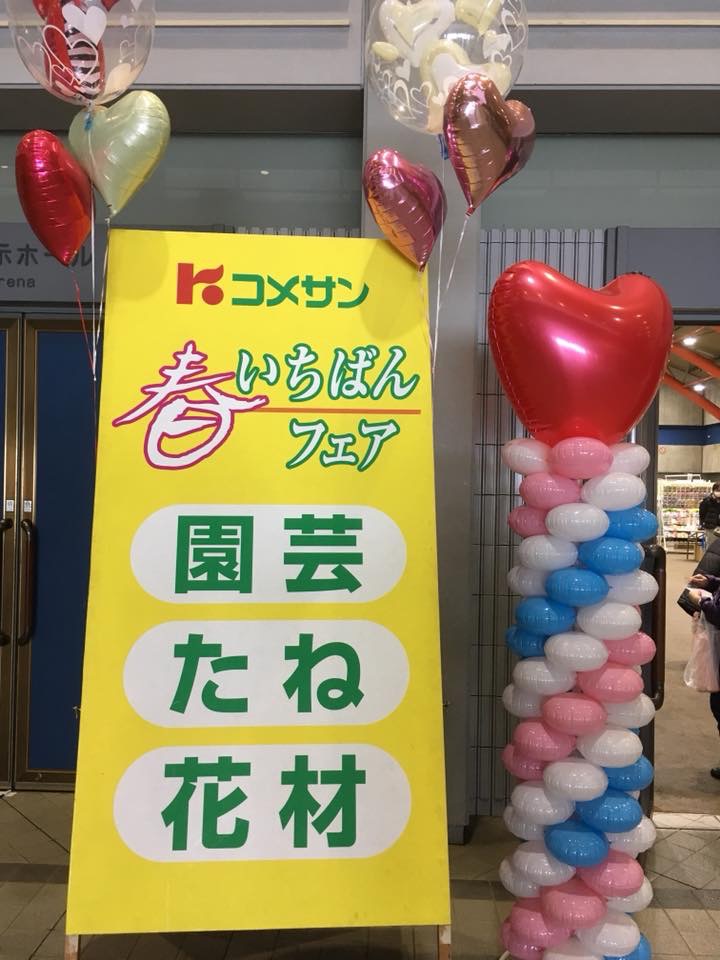 image1.jpeg