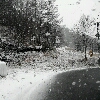 inline_131220073916.jpeg