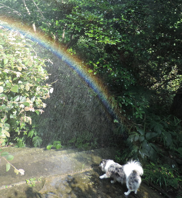 高圧洗浄機で虹を作ってみました 親方の隠し部屋