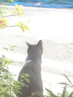 IMG_0803.jpg