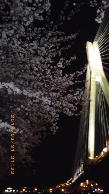 IMGP0492.jpg