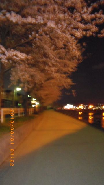 IMGP0493.jpg