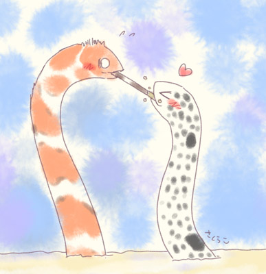 ちんあなごとにしきあなごとポッキーと