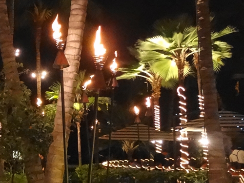 ヤシの木でクリスマスツリー | ヤシの木南国リゾートの庭 COCOS GARDEN*