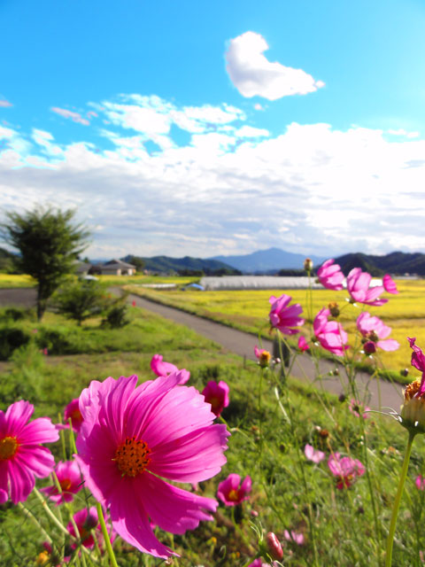 川場村
