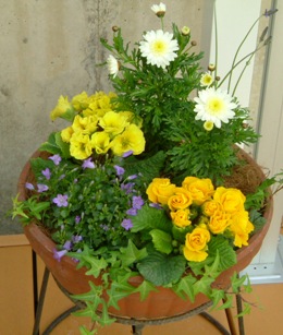 寄せ植え
