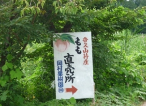 岡村果樹園