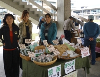 大和茶