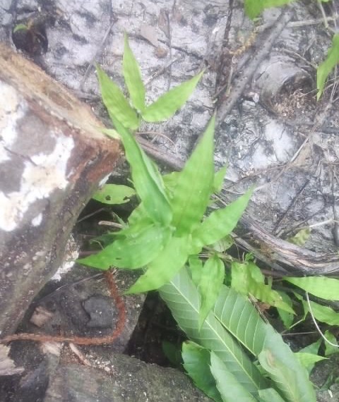 180618_1608~02.jpg