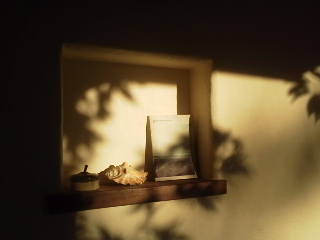 12-09-28_002.jpg