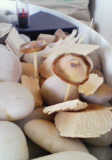 201003181326000.jpg