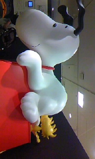 100405_1404~030001.jpg
