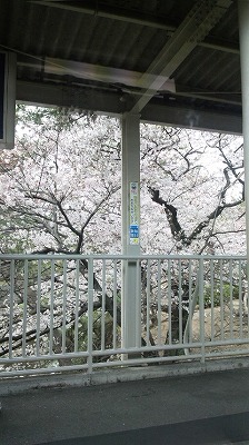 160331_123234.jpg