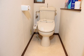 トイレの簡単diy 壁のカビ汚れを落としてムース塗料でセルフリフォーム といれたすブログ