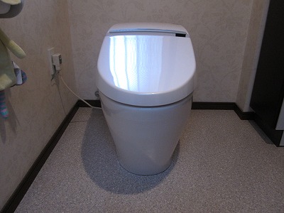 家のトイレをしっかり掃除しました！【その2】2Fのトイレと小