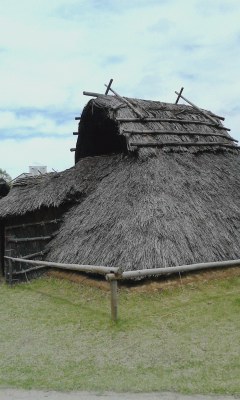 130520_1117~002.jpg