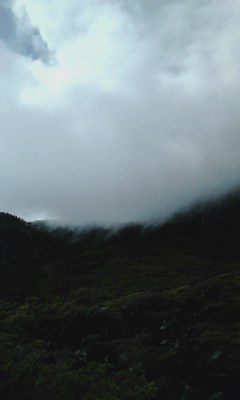 130520_1500~001.jpg