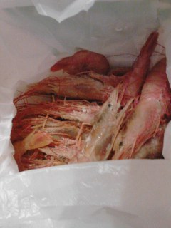 141228_1757~002.jpg