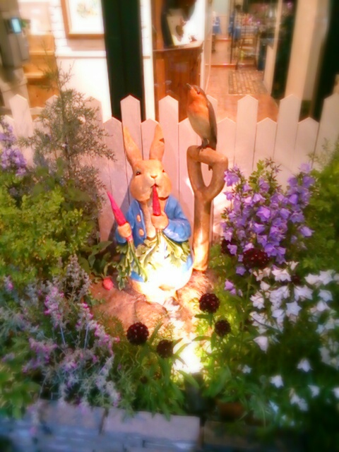 aviary_1431097510206.jpg