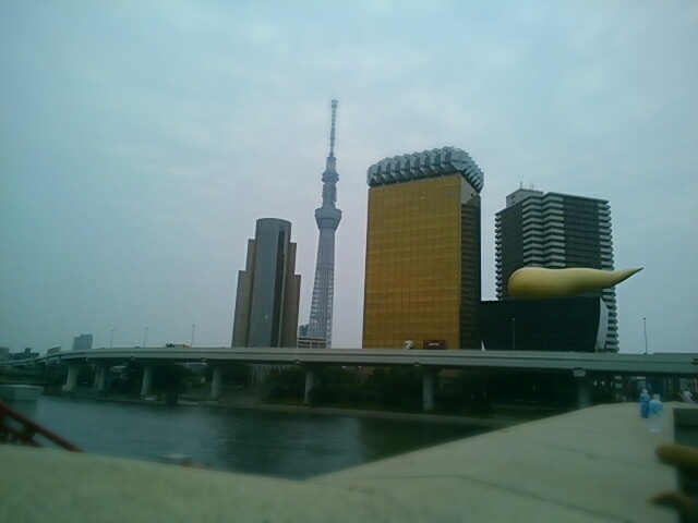 aviary_1434453222459.jpg