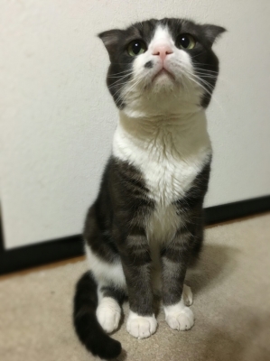aviary_1466243822788.jpg
